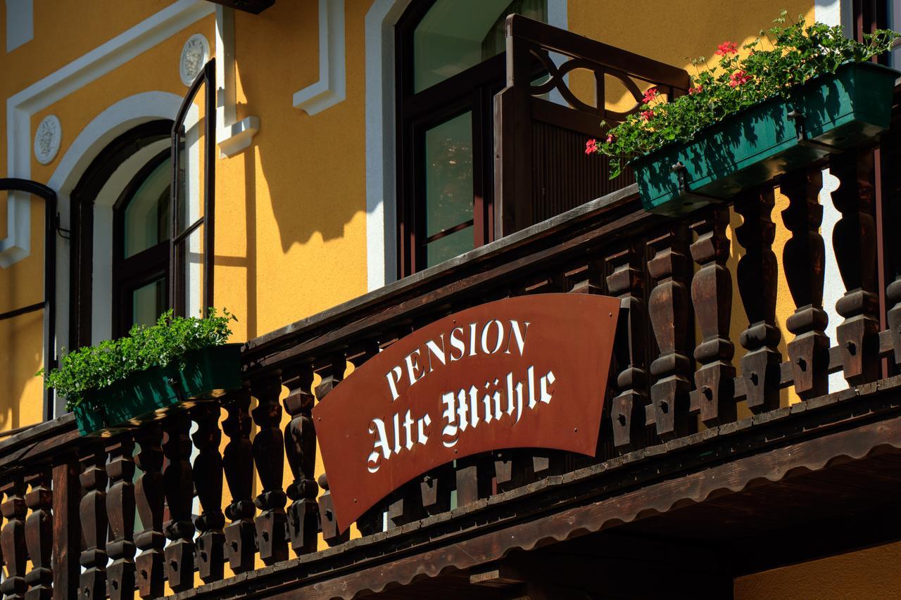 Pension Alte Muehle Gmund in Karnten Exterior photo